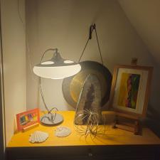 WhatsApp Bild 2025-10-22 um 19.40.25_03a357f1